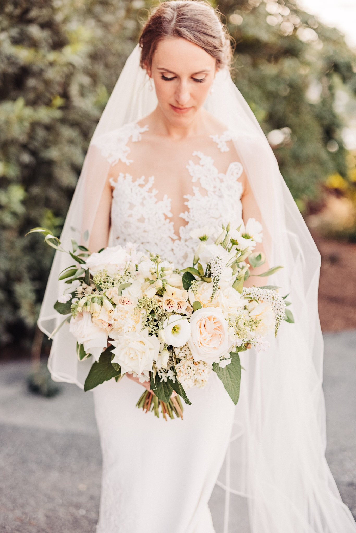 Van Cleve Bridal